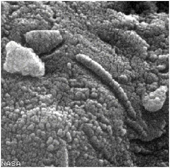 סריקה במיקרוסקופ אלקטרוני של המטואוריט ממאדים